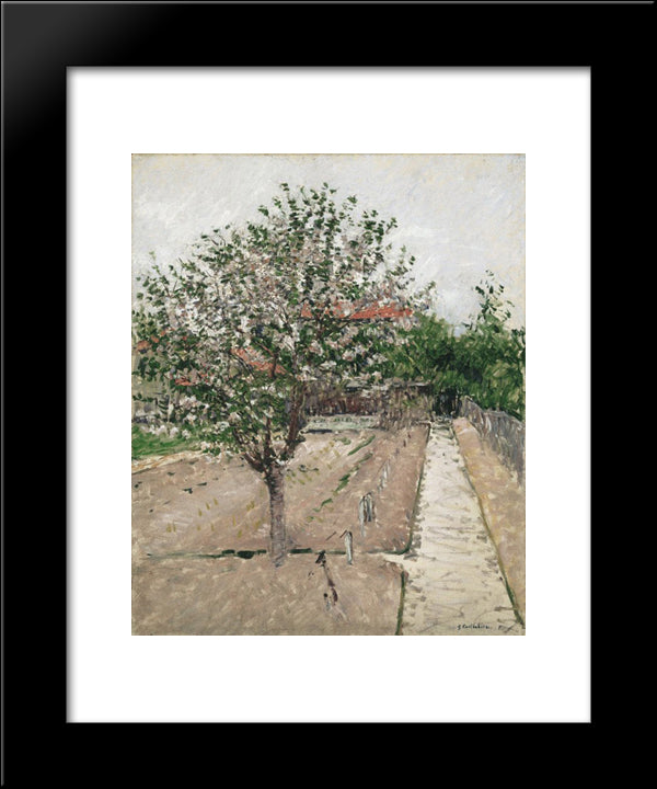 Apple Tree In Blossom 20x24 Black Modern Wood Framed Art Print Poster by Caillebotte, Gustave