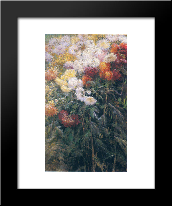 Clump Of Chrysanthemums, Garden At Petit Gennevilliers 20x24 Black Modern Wood Framed Art Print Poster by Caillebotte, Gustave