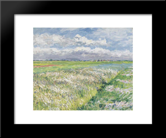 Fields, Plain Of Gennevilliers 20x24 Black Modern Wood Framed Art Print Poster by Caillebotte, Gustave