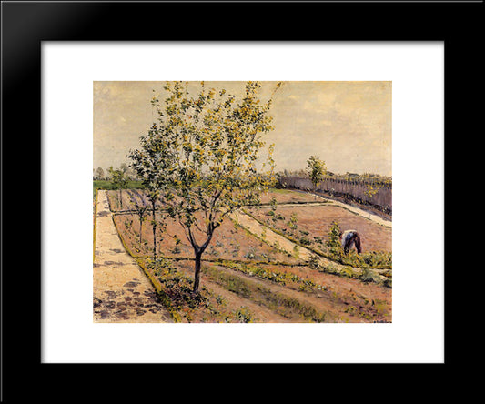 Kitchen Garden, Petit Gennevilliers 20x24 Black Modern Wood Framed Art Print Poster by Caillebotte, Gustave