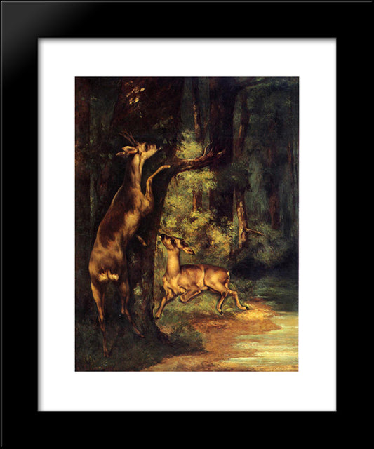 Male And Female Deer In The Woods 20x24 Black Modern Wood Framed Art Print Poster by Courbet, Gustave