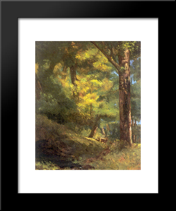 Two Roe Deers In The Forest 20x24 Black Modern Wood Framed Art Print Poster by Courbet, Gustave