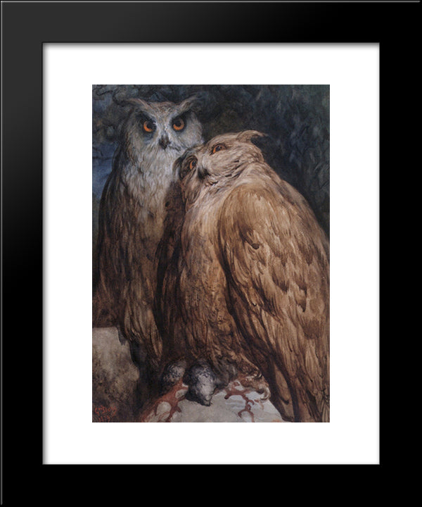 Two Owls 20x24 Black Modern Wood Framed Art Print Poster by Dore, Gustave