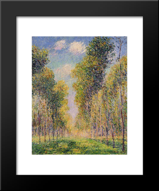 Alley Of Poplars 20x24 Black Modern Wood Framed Art Print Poster by Loiseau, Gustave