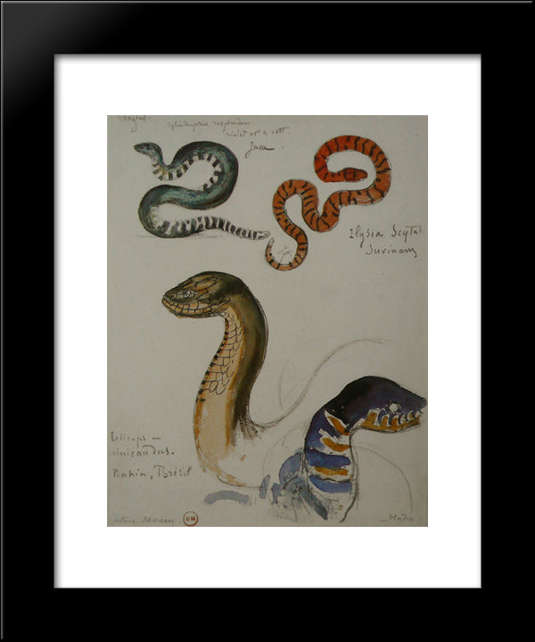 Four Studies Of Snakes 20x24 Black Modern Wood Framed Art Print Poster by Moreau, Gustave