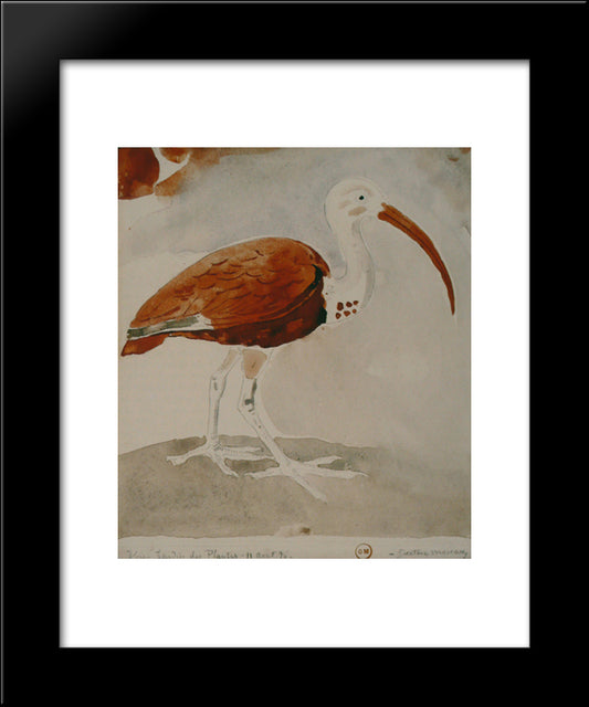 Ibis 20x24 Black Modern Wood Framed Art Print Poster by Moreau, Gustave