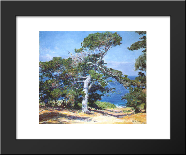 A Carmel Pine 20x24 Black Modern Wood Framed Art Print Poster by Rose, Guy