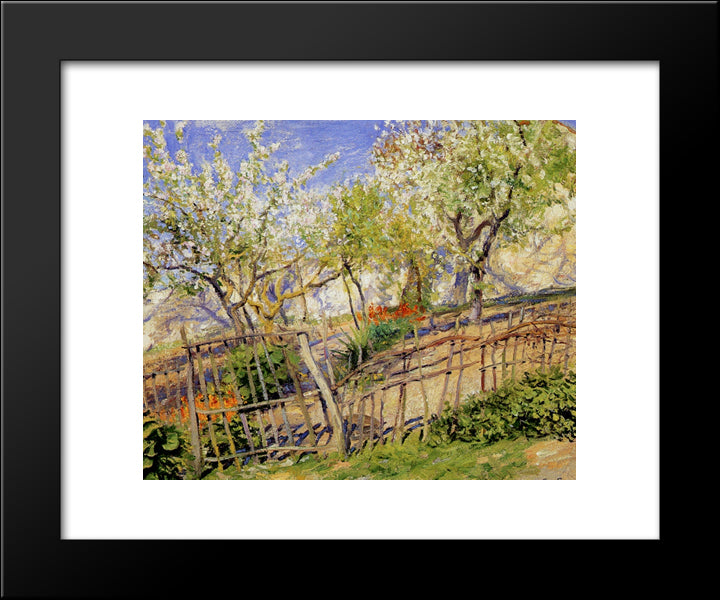 Blossoms And Wallflowers 20x24 Black Modern Wood Framed Art Print Poster by Rose, Guy