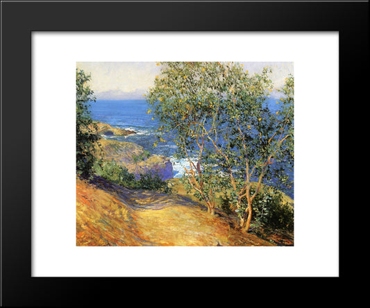 Indian Tobacco Trees, La Jolla 20x24 Black Modern Wood Framed Art Print Poster by Rose, Guy
