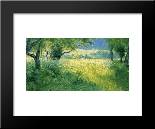 July Afternoon 20x24 Black Modern Wood Framed Art Print Poster by Rose, Guy