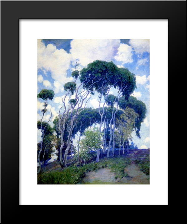 Laguna Eucalyptus 20x24 Black Modern Wood Framed Art Print Poster by Rose, Guy