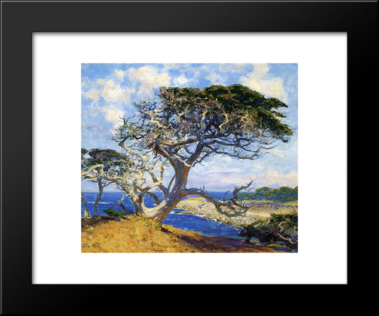 Monterey Cypress 20x24 Black Modern Wood Framed Art Print Poster by Rose, Guy