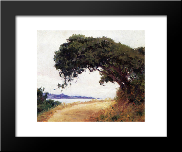 Point Lobos, Oak Tree 20x24 Black Modern Wood Framed Art Print Poster by Rose, Guy