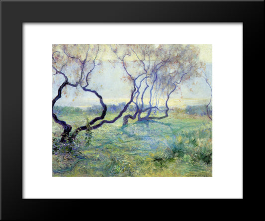Tamarisk Trees In Early Sunlight 20x24 Black Modern Wood Framed Art Print Poster by Rose, Guy