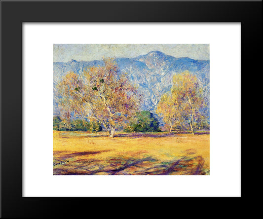 The Sycamores, Pasadena 20x24 Black Modern Wood Framed Art Print Poster by Rose, Guy