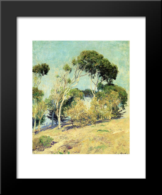 Windswept Trees, Laguna 20x24 Black Modern Wood Framed Art Print Poster by Rose, Guy