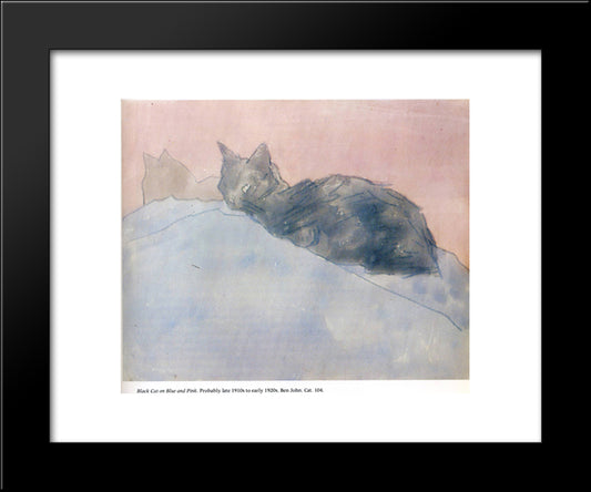 Black Cat On Blue And Pink 20x24 Black Modern Wood Framed Art Print Poster by John, Gwen