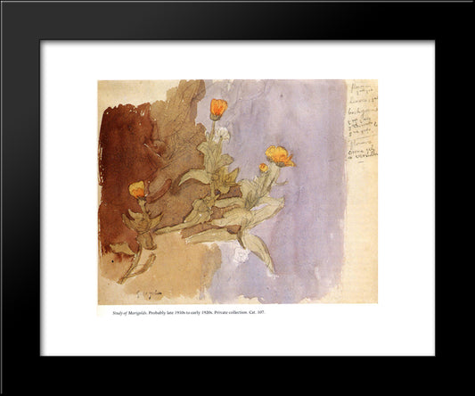 Study Of Marigolds 20x24 Black Modern Wood Framed Art Print Poster by John, Gwen