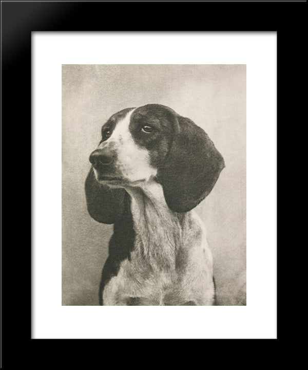 Meine Diana 20x24 Black Modern Wood Framed Art Print Poster by Kuhn, Heinrich