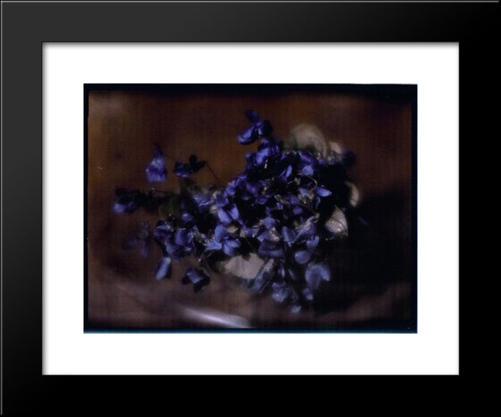 Violets 20x24 Black Modern Wood Framed Art Print Poster by Kuhn, Heinrich