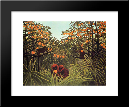 Apes In The Orange Grove 20x24 Black Modern Wood Framed Art Print Poster by Rousseau, Henri