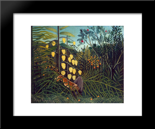 Tropical Forest Battling Tiger And Buffalo 20x24 Black Modern Wood Framed Art Print Poster by Rousseau, Henri