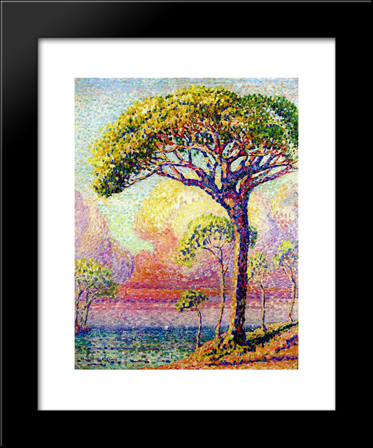 A Pine Tree 20x24 Black Modern Wood Framed Art Print Poster by Cross, Henri Edmond