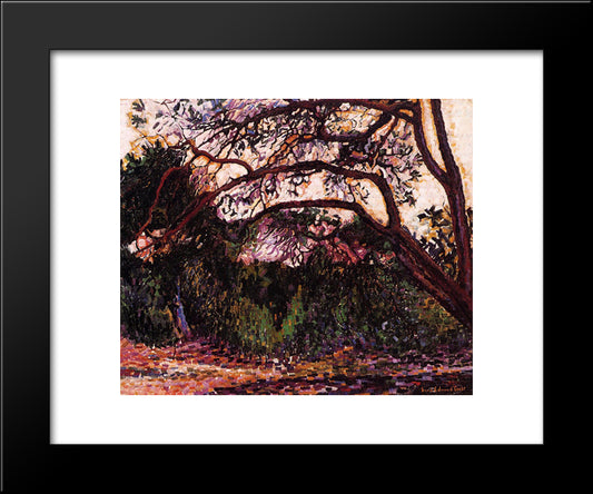 Woded Landscape 20x24 Black Modern Wood Framed Art Print Poster by Cross, Henri Edmond