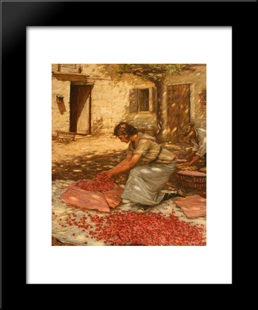 Packing Cherries In Provence, France 20x24 Black Modern Wood Framed Art Print Poster by La Thangue, Henry Herbert