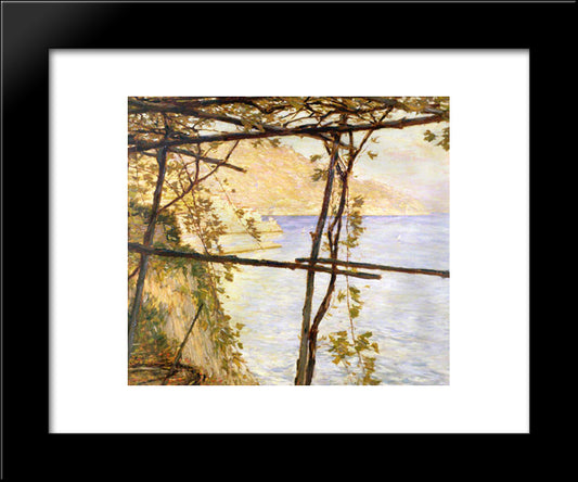 Trellised Vines 20x24 Black Modern Wood Framed Art Print Poster by La Thangue, Henry Herbert