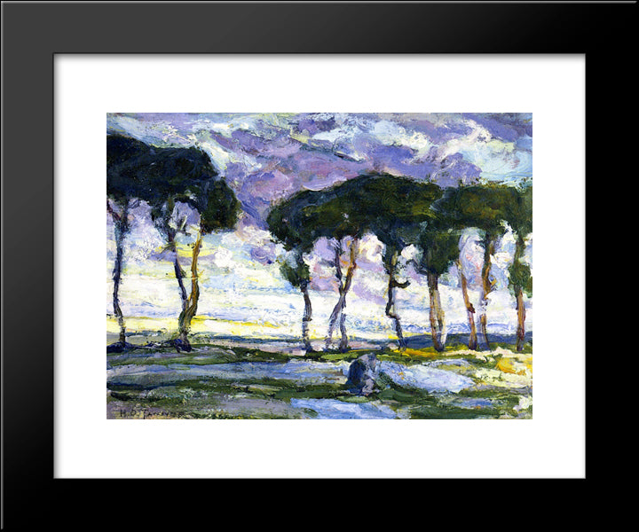 Landscape With Irises 20x24 Black Modern Wood Framed Art Print Poster by Tanner, Henry Ossawa