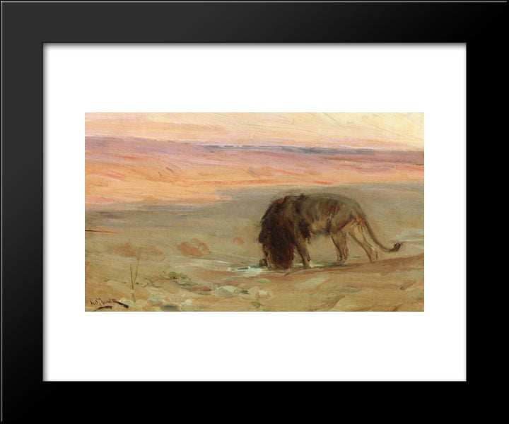 Lion Drinking 20x24 Black Modern Wood Framed Art Print Poster by Tanner, Henry Ossawa