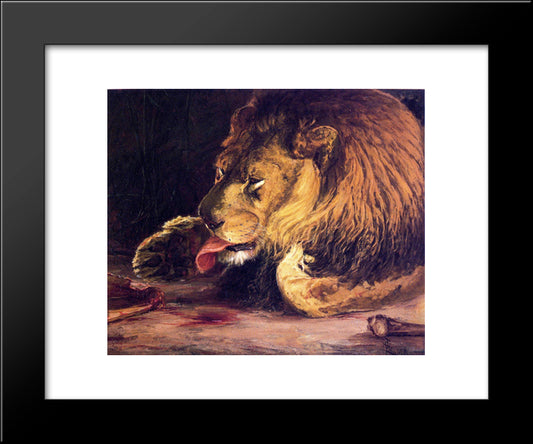 Lion Licking Its Paw 20x24 Black Modern Wood Framed Art Print Poster by Tanner, Henry Ossawa