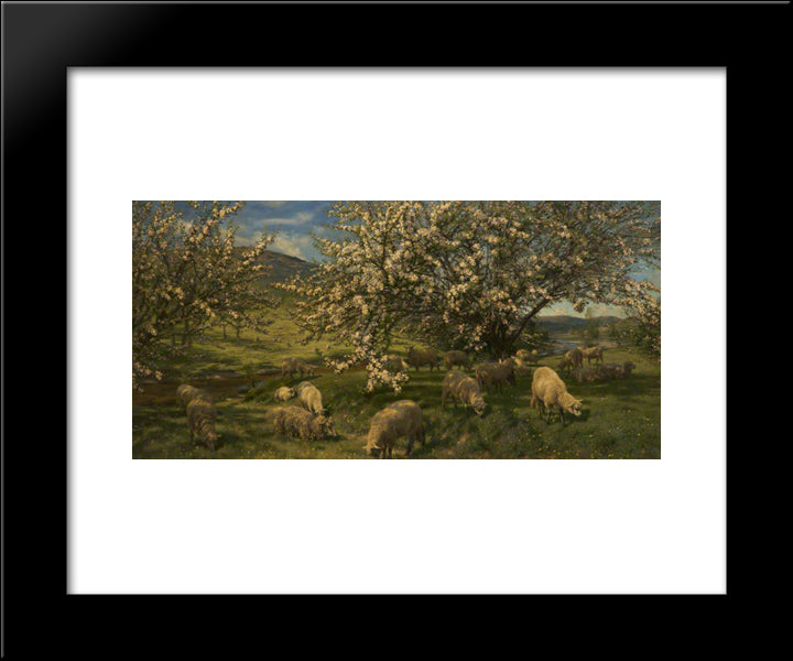 Apple Blossoms In The Upper Wye 20x24 Black Modern Wood Framed Art Print Poster by Davis, Henry William Banks