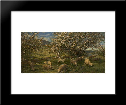 Apple Blossoms In The Upper Wye 20x24 Black Modern Wood Framed Art Print Poster by Davis, Henry William Banks