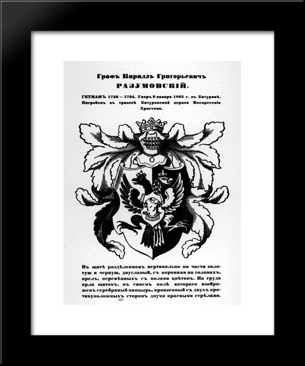 The Arms Of Hetman Cyril Razumovsky 20x24 Black Modern Wood Framed Art Print Poster by Narbut, Heorhiy