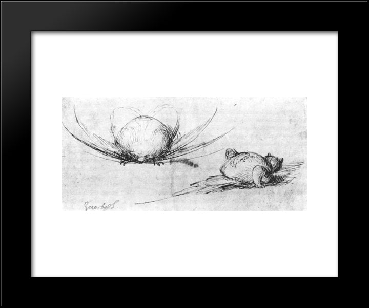 Animal Studies 20x24 Black Modern Wood Framed Art Print Poster by Bosch, Hieronymus
