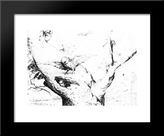 Nest Of Owls 20x24 Black Modern Wood Framed Art Print Poster by Bosch, Hieronymus