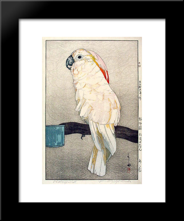 Obatan Parrot 20x24 Black Modern Wood Framed Art Print Poster by Yoshida, Hiroshi