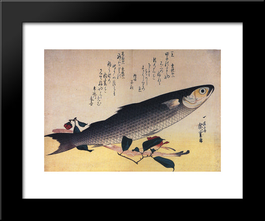 Grey Mullet And Camellia 20x24 Black Modern Wood Framed Art Print Poster by Hiroshige