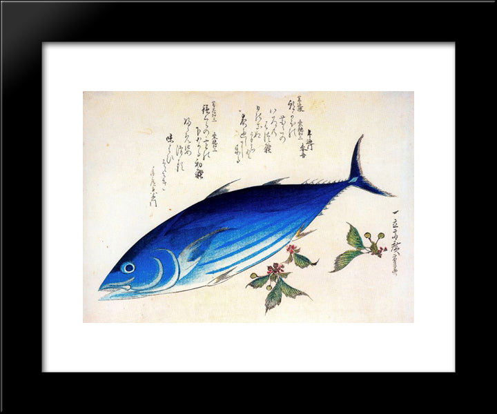 Katsuwonus Pelamis 20x24 Black Modern Wood Framed Art Print Poster by Hiroshige