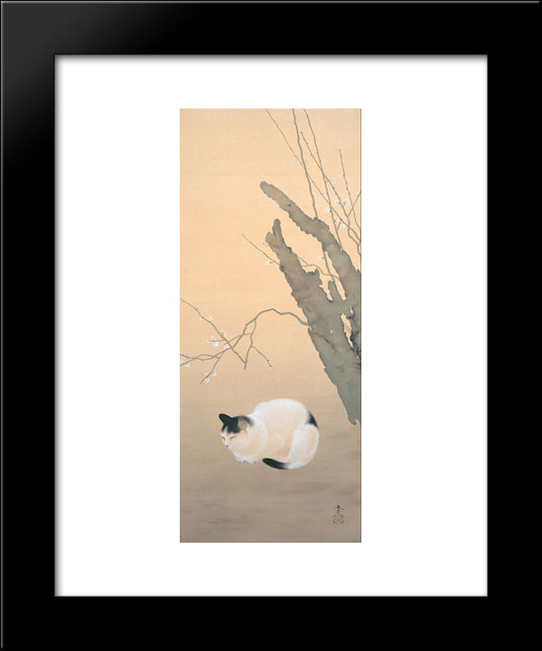 Cat And Plum Blossoms 20x24 Black Modern Wood Framed Art Print Poster by Shunso, Hishida