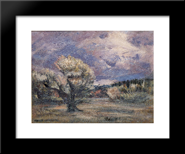 Pink Bush 20x24 Black Modern Wood Framed Art Print Poster by Watson, Homer