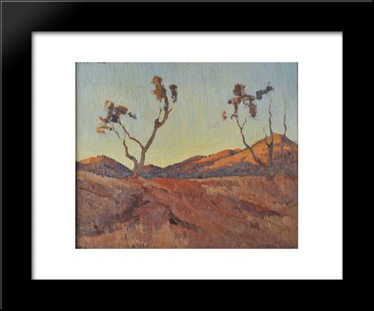 Evening Light, Flinders Ranges, Sa 20x24 Black Modern Wood Framed Art Print Poster by Trenerry, Horace