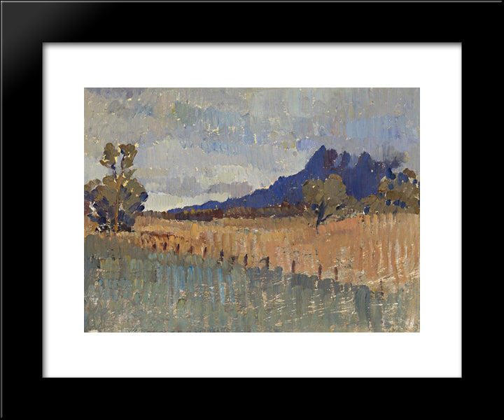 Northern Landccape (Flinders Ranges Landscape With Rain Approaching) 20x24 Black Modern Wood Framed Art Print Poster by Trenerry, Horace