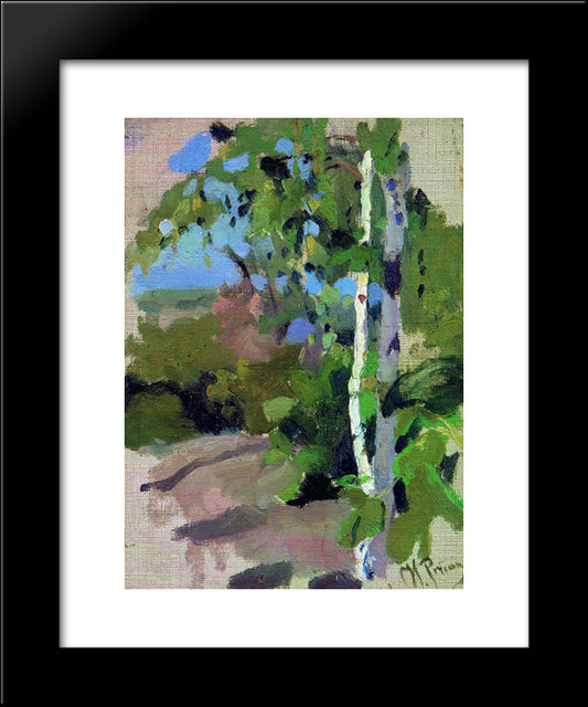 Birch Trees. Sunny Day. 20x24 Black Modern Wood Framed Art Print Poster by Repin, Ilya