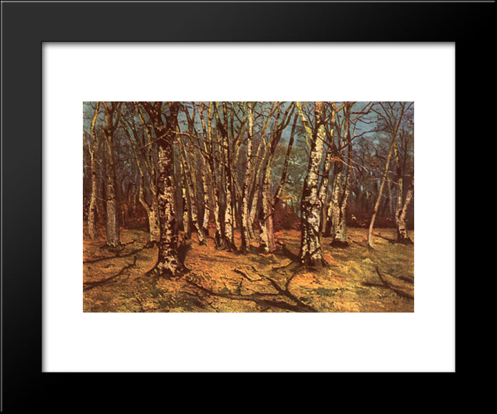 Beech Forest 20x24 Black Modern Wood Framed Art Print Poster by Andreescu, Ion