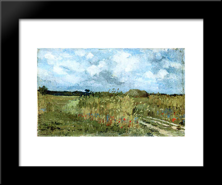 Flowering Field 20x24 Black Modern Wood Framed Art Print Poster by Andreescu, Ion
