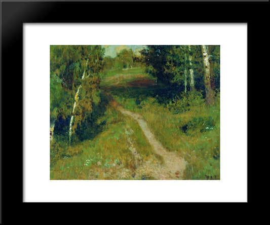 A Birch Grove 20x24 Black Modern Wood Framed Art Print Poster by Levitan, Isaac