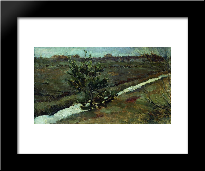 Early Spring. A Young Pine Tree. 20x24 Black Modern Wood Framed Art Print Poster by Levitan, Isaac